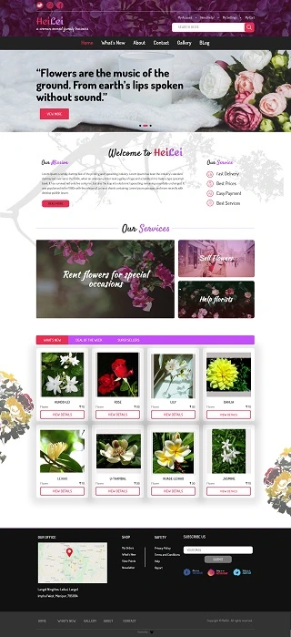 Web Design